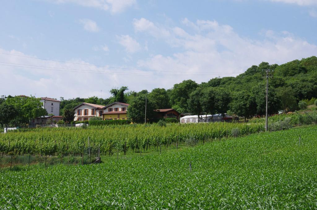Agriturismo Casa Villi سولفرينو المظهر الخارجي الصورة